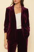 WHERE'S THE PARTY AT VELVET BLAZER